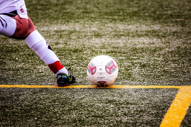 阿泽维多当选国际排球联合会主席新华网.